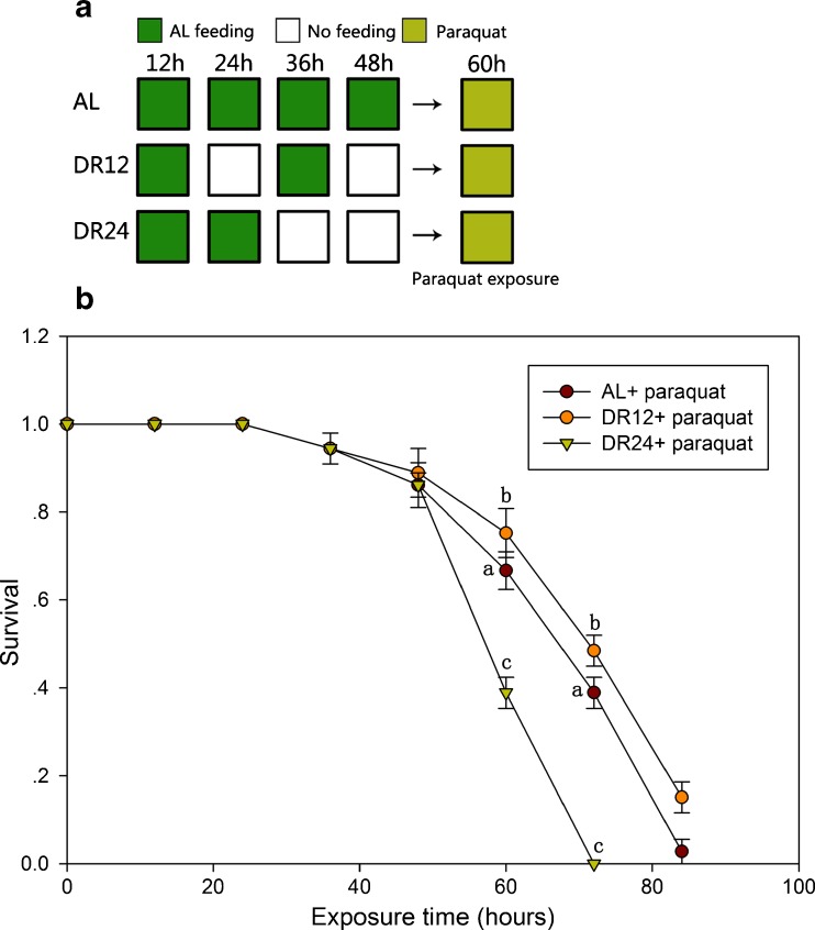 Fig. 12