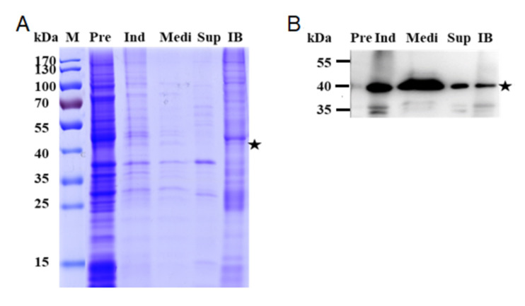 Figure 3.