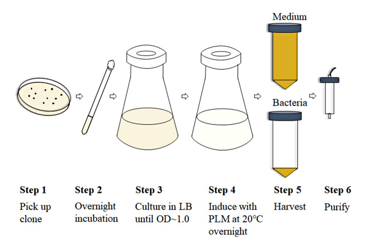 Figure 2.