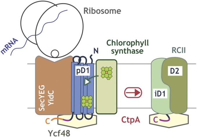 Fig. 8.