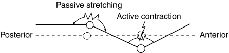 Fig. 16.