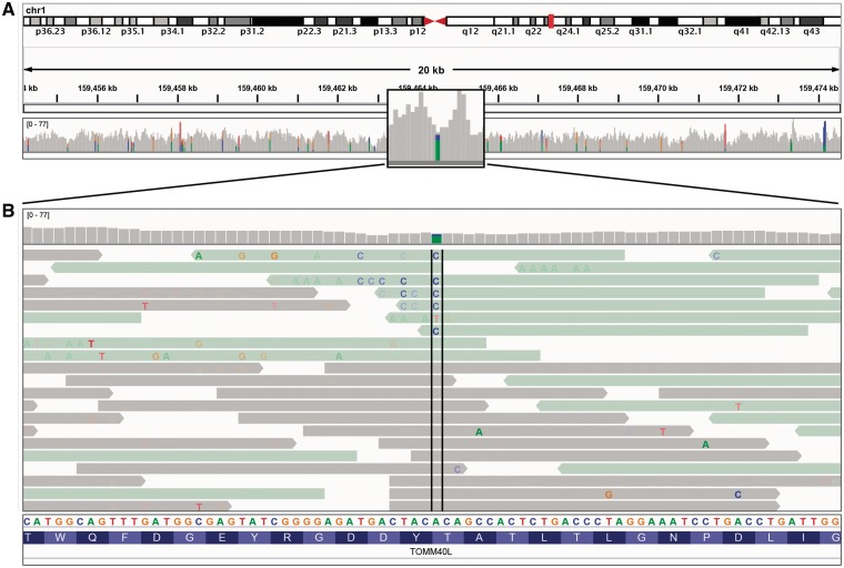 Figure 4: