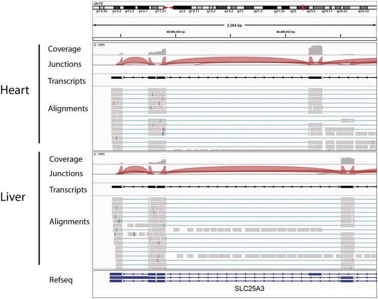 Figure 6: