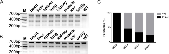 Fig 4