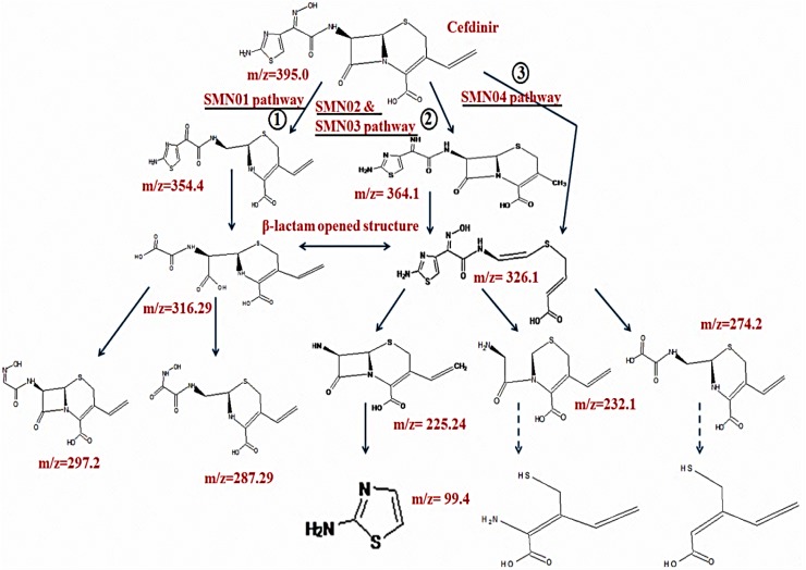 Fig. 3