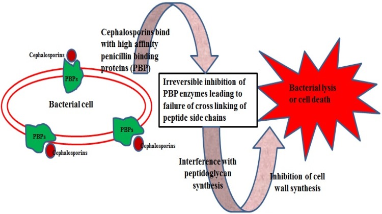 Fig. 1