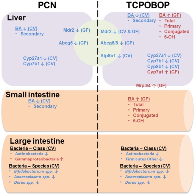 Figure 10.