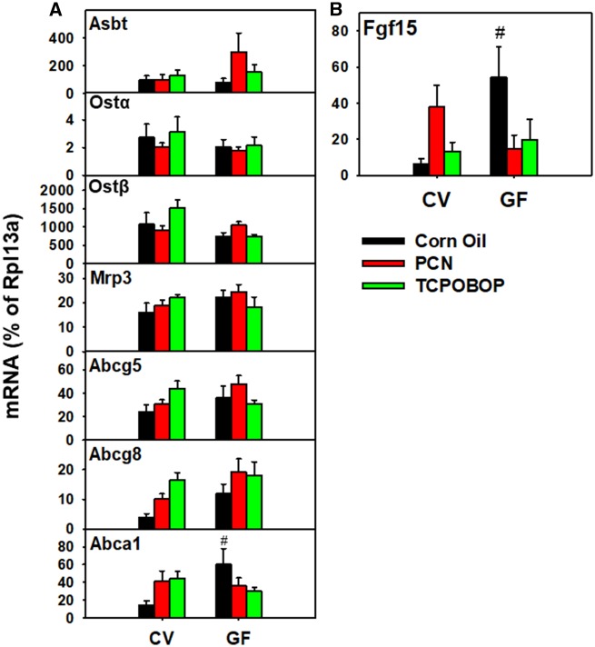 Figure 9.