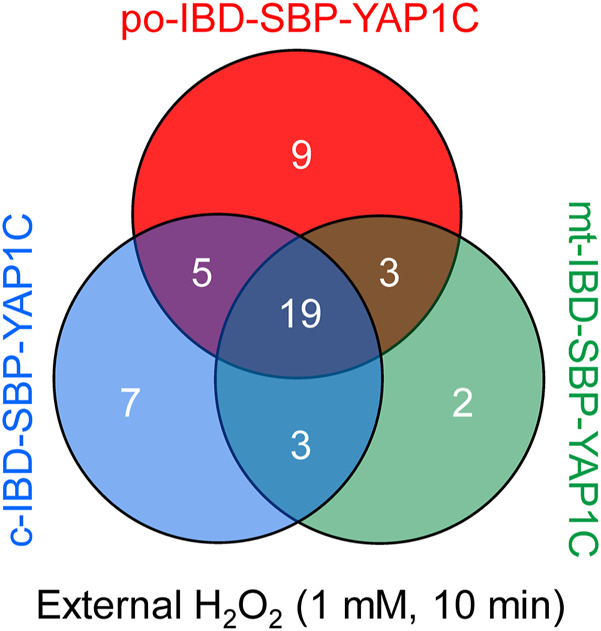 FIGURE 3