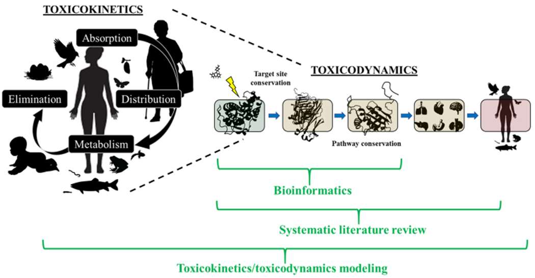 FIGURE 1: