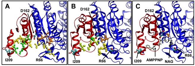 Figure 7