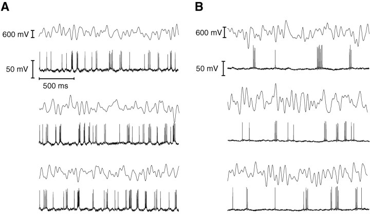 Fig. 9.