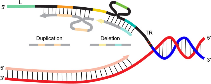 FIGURE 2