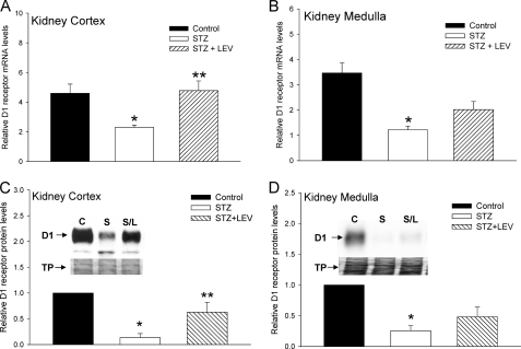 FIGURE 10.