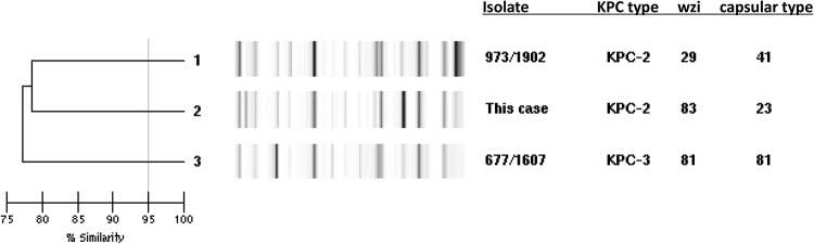 FIG 1