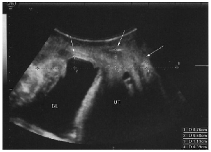 Figure 2.