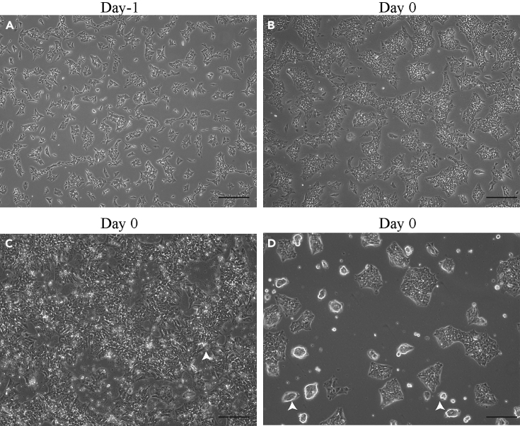 Figure 2