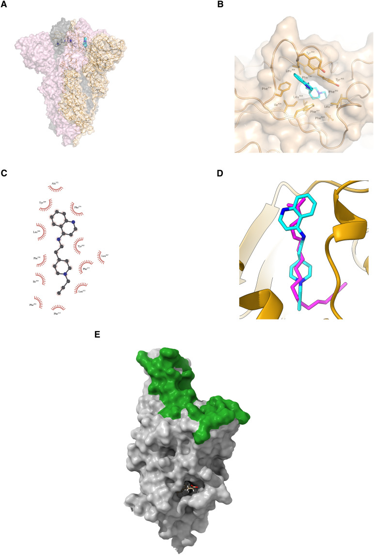 Fig. 4.