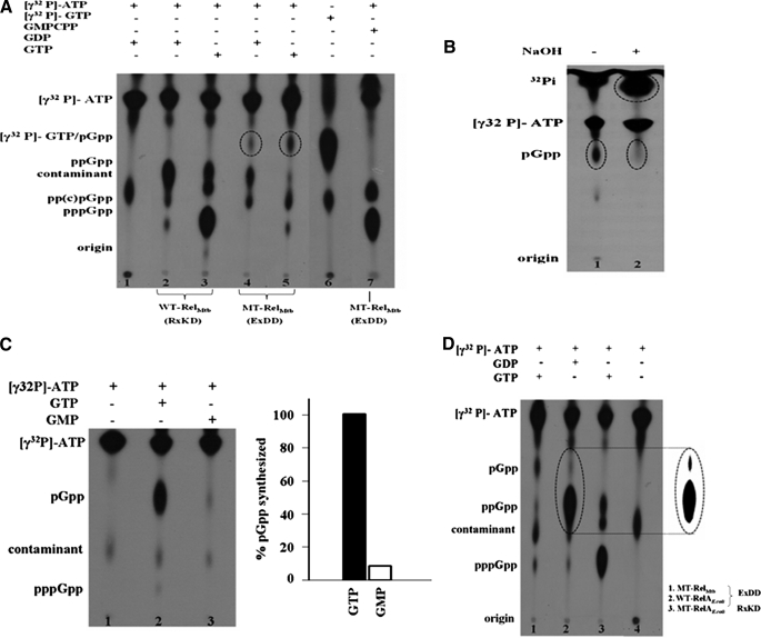 FIGURE 4.