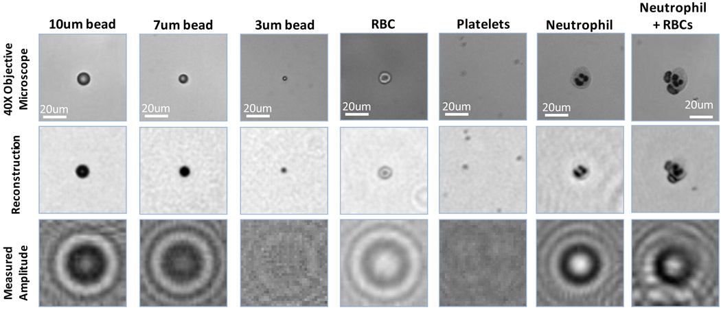 Fig. 3