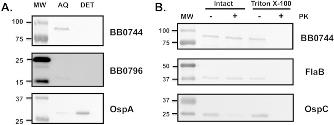 FIG 1