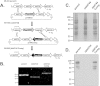 FIG 3