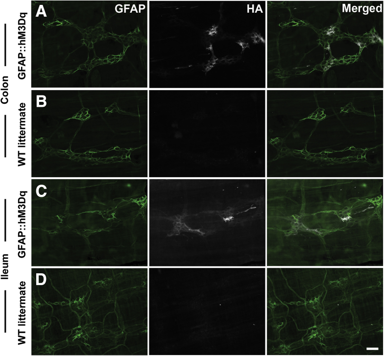 Figure 3