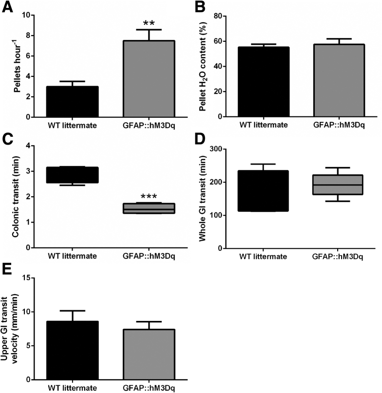 Figure 10