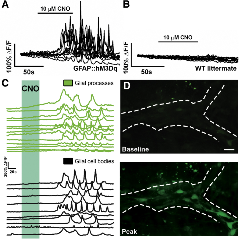 Figure 4