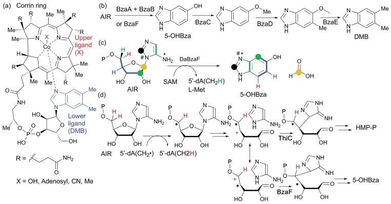 Fig. 36