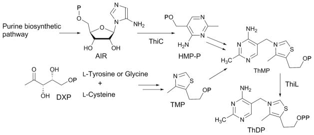 Fig. 34