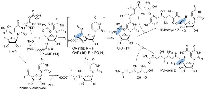 Fig. 16