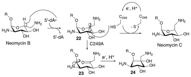 Fig. 19