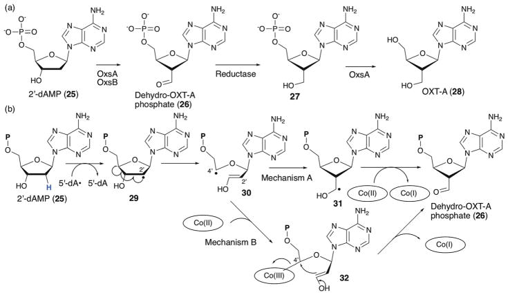 Fig. 20