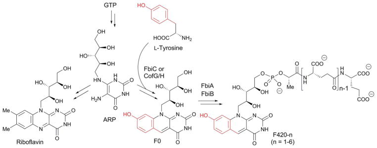 Fig. 26