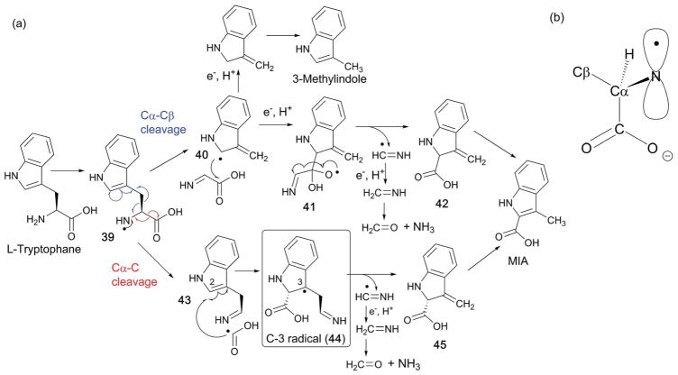 Fig. 25