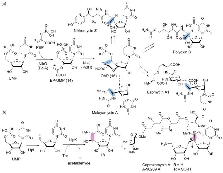 Fig. 17