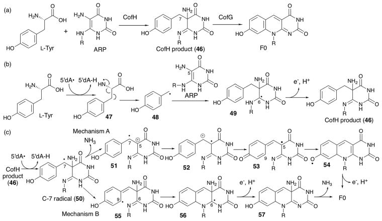 Fig. 27