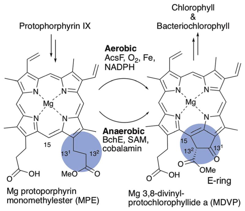 Fig. 21