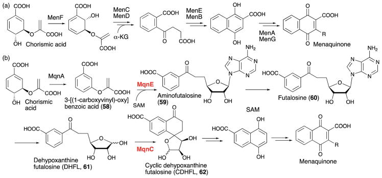 Fig. 28