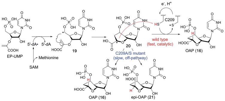 Fig. 18