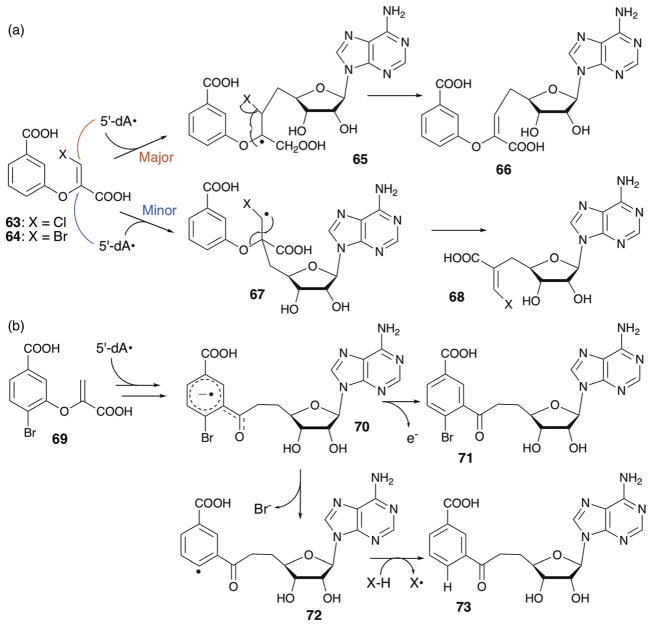 Fig. 29