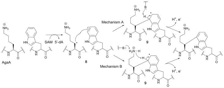 Fig. 13