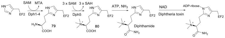 Fig. 32