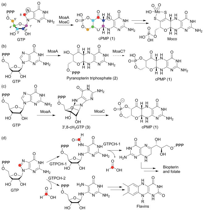 Fig. 7