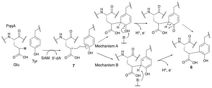 Fig. 11