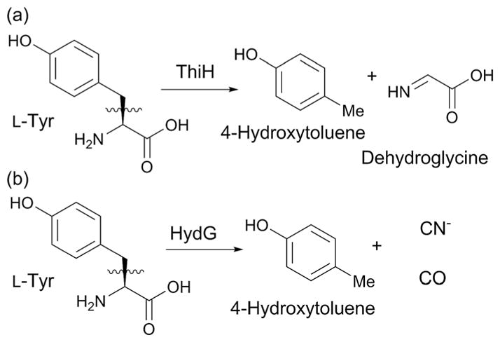 Fig. 23