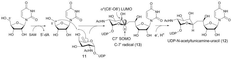 Fig. 15