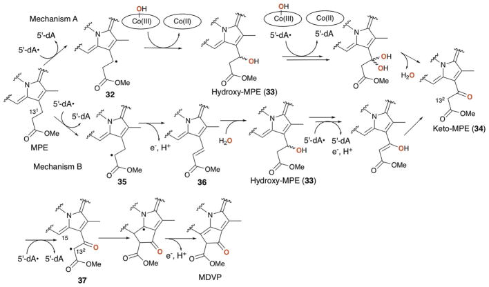 Fig. 22