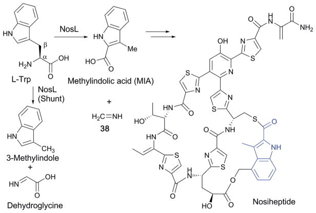 Fig. 24